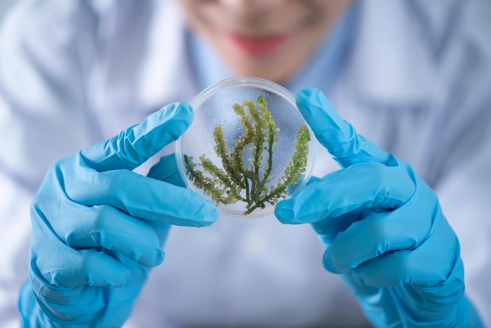 Life Sciences and Healthcare Research